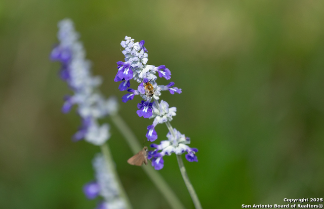 Image 15 of 19 For Tbd3 Us Highway 83 N