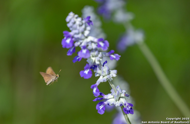 Image 16 of 19 For Tbd3 Us Highway 83 N