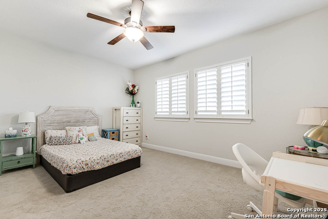 Image 31 of 39 For 3811 Ricegrass