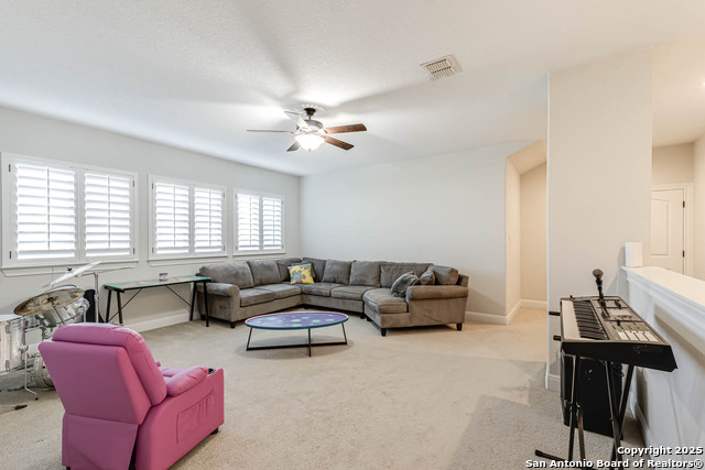 Image 34 of 39 For 3811 Ricegrass