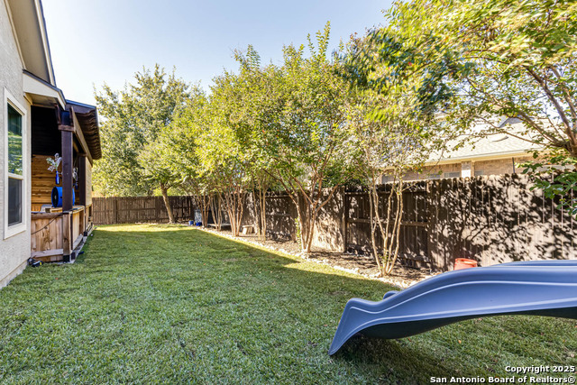 Image 39 of 39 For 3811 Ricegrass