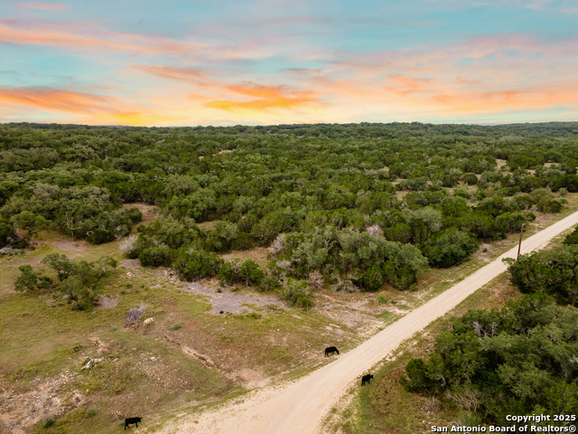 Image 8 of 29 For Lot 35b Pr 2533