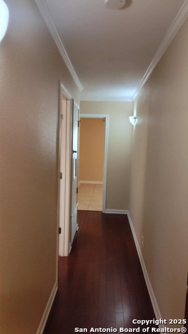 Image 11 of 15 For 100 Lorenz  302