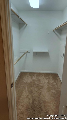 Image 13 of 15 For 100 Lorenz  302