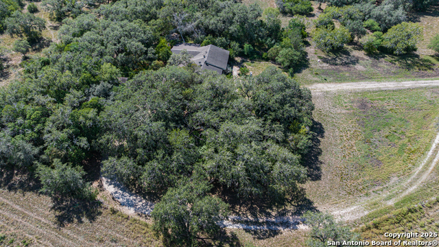 Listing photo id 6 for 2818 Wofford