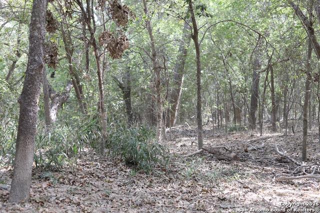 Listing photo id 45 for 1459 County Road 120