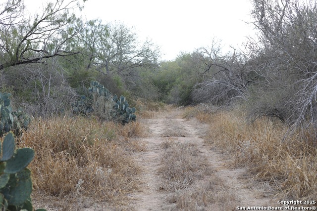 Listing photo id 46 for 1459 County Road 120