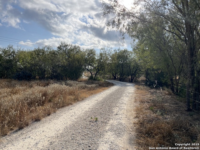 Listing photo id 47 for 1459 County Road 120