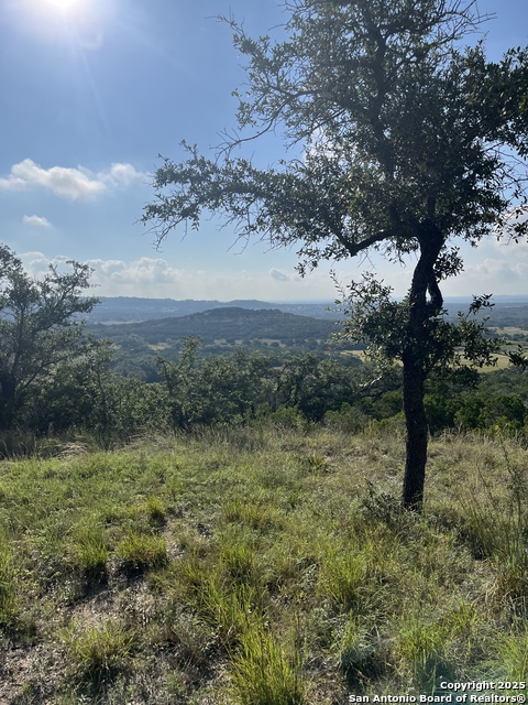 Image 22 of 49 For 4664 Rocky  