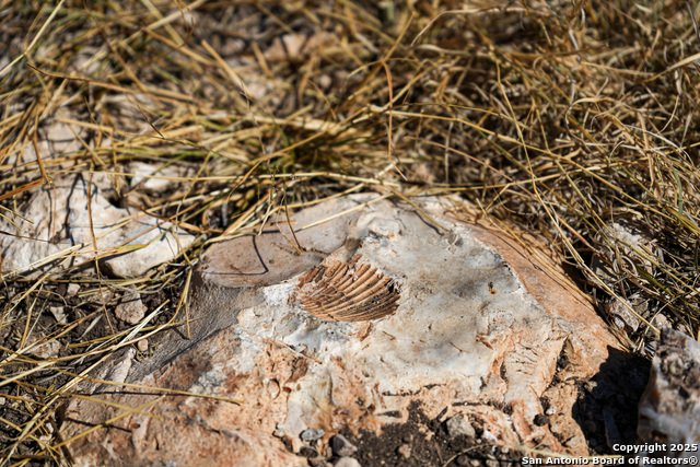 Listing photo id 19 for 1792 Sd 52300