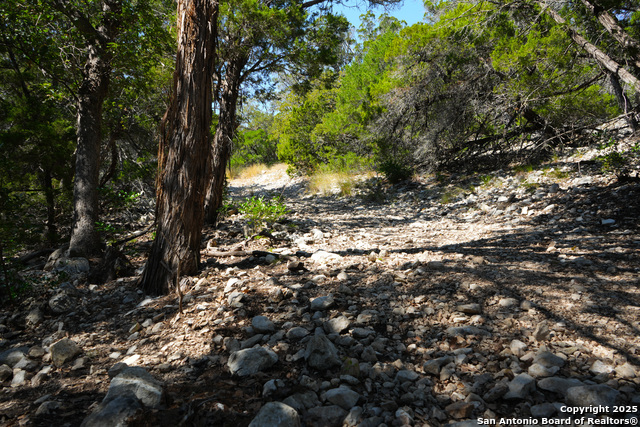 Listing photo id 20 for 1792 Sd 52300