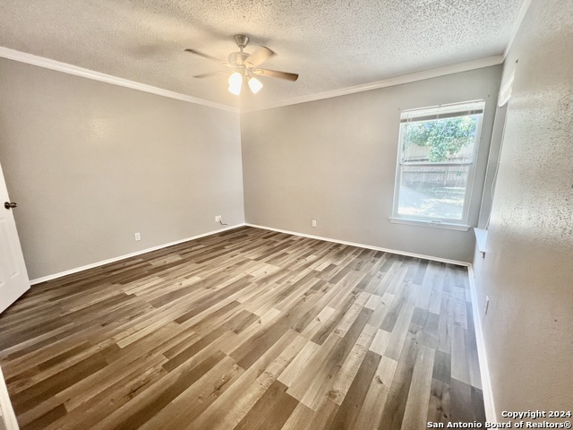 Image 10 of 17 For 9215 Autumn Branches