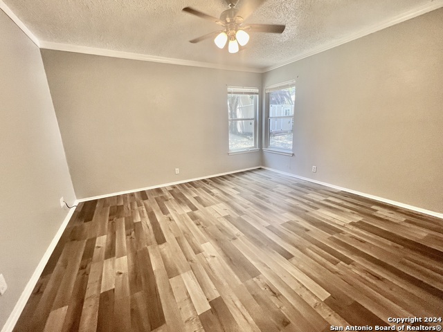 Image 11 of 17 For 9215 Autumn Branches