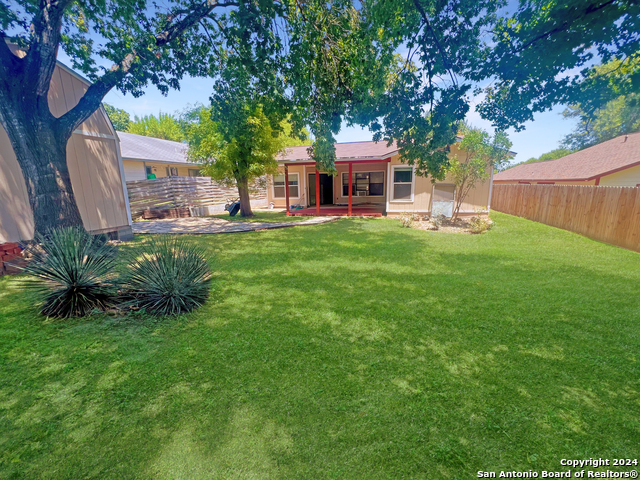 Image 2 of 17 For 9215 Autumn Branches