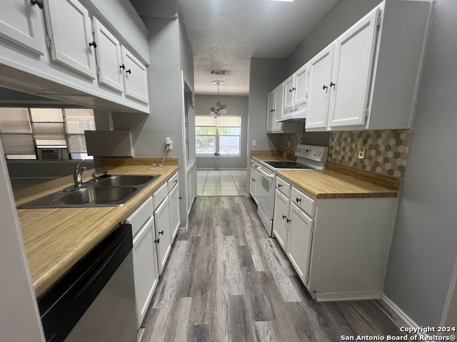 Image 8 of 17 For 9215 Autumn Branches