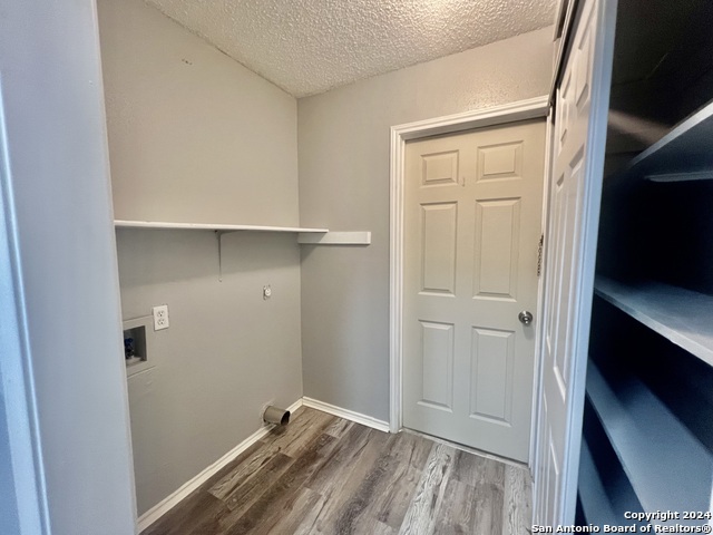 Image 9 of 17 For 9215 Autumn Branches