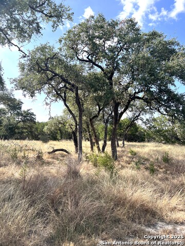 Image 103 of 112 For 630 Indian Mound