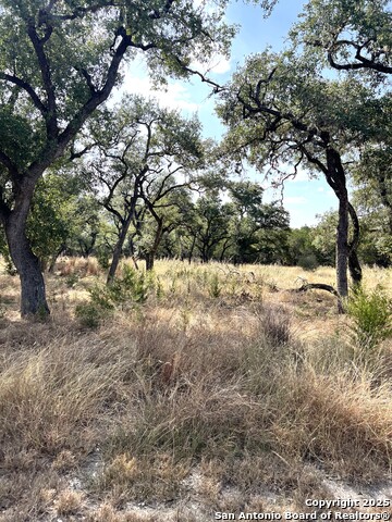 Image 104 of 112 For 630 Indian Mound
