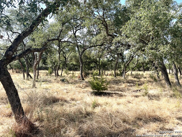 Image 78 of 112 For 630 Indian Mound