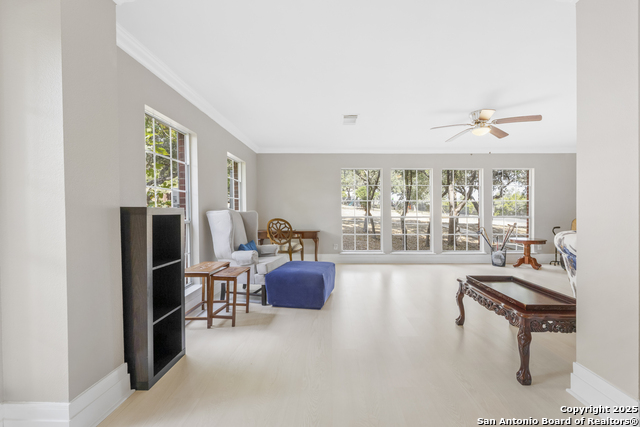 Image 15 of 74 For 800 Hop Tree