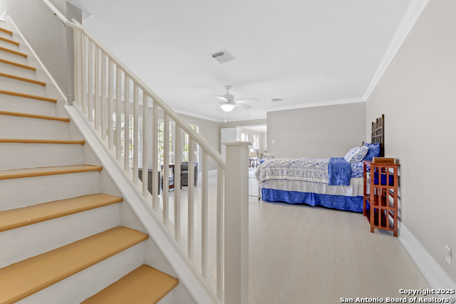 Image 31 of 74 For 800 Hop Tree