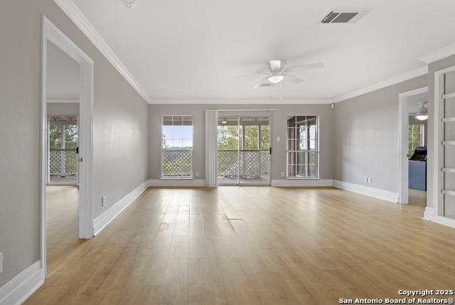 Image 32 of 74 For 800 Hop Tree