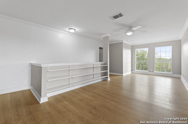 Image 34 of 74 For 800 Hop Tree