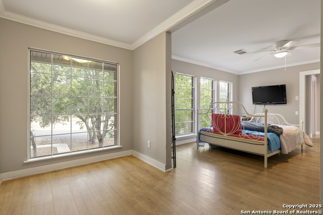 Image 35 of 74 For 800 Hop Tree