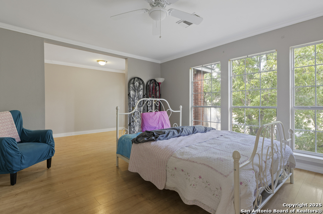 Image 36 of 74 For 800 Hop Tree