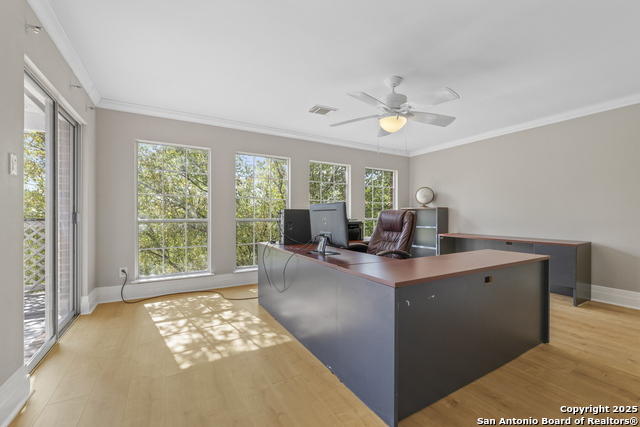 Image 37 of 74 For 800 Hop Tree