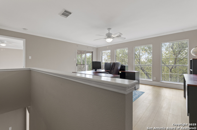 Image 38 of 74 For 800 Hop Tree