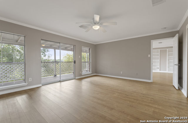 Image 39 of 74 For 800 Hop Tree