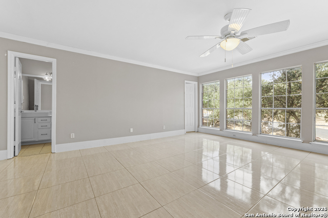 Image 48 of 74 For 800 Hop Tree