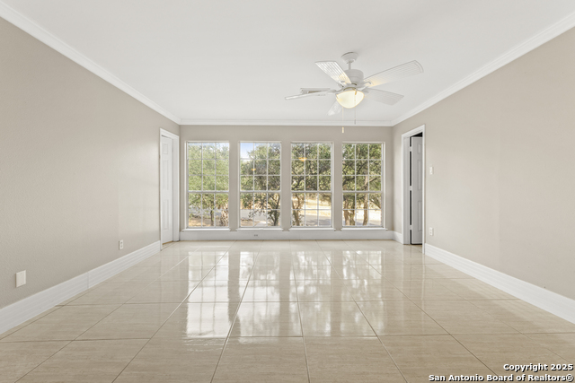 Image 49 of 74 For 800 Hop Tree