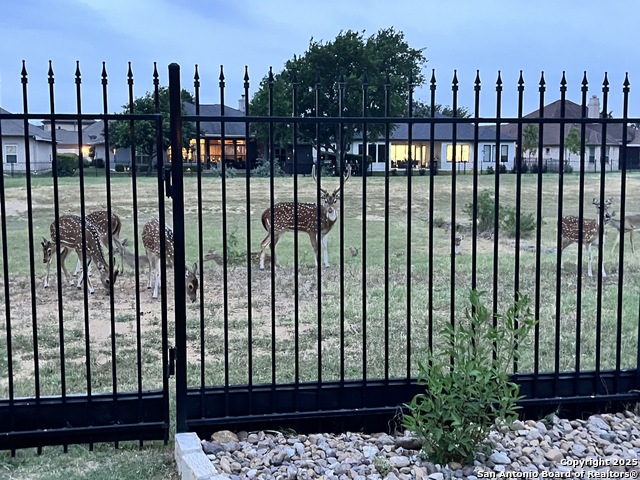 Image 36 of 37 For 7938 Cibolo