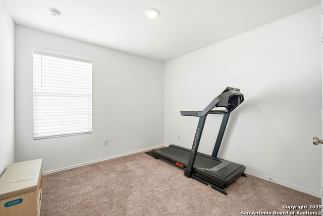 Image 27 of 39 For 124 Wood Moss