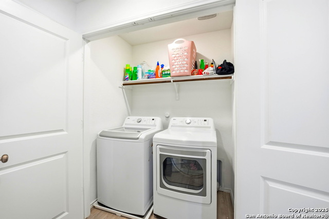 Image 28 of 39 For 124 Wood Moss