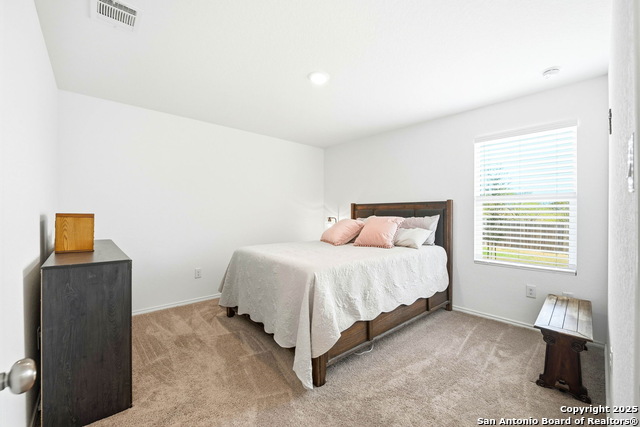 Image 29 of 39 For 124 Wood Moss