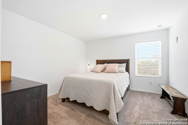 Image 30 of 39 For 124 Wood Moss