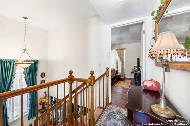 Image 25 of 45 For 619 Strings  619