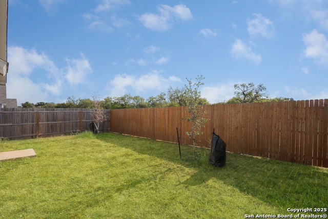 Image 20 of 23 For 20412 Fire Stone