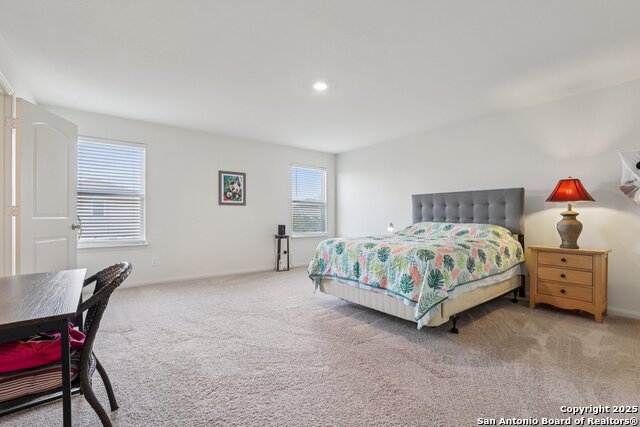 Image 11 of 22 For 3946 Turtle