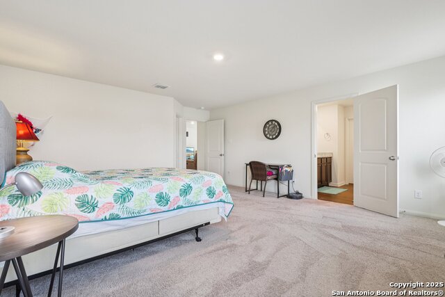 Image 12 of 22 For 3946 Turtle