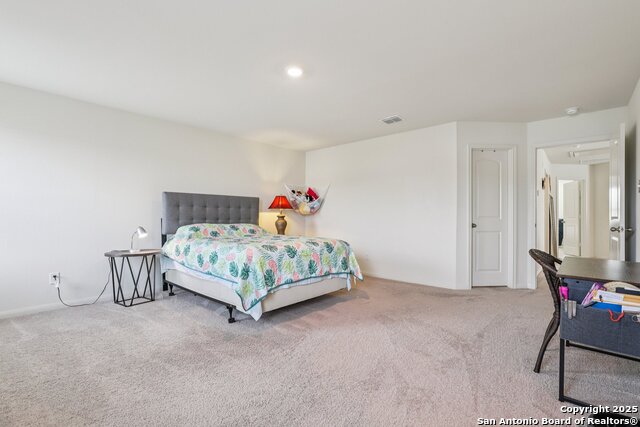 Image 13 of 22 For 3946 Turtle