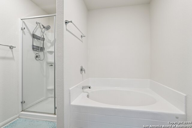 Image 15 of 22 For 3946 Turtle