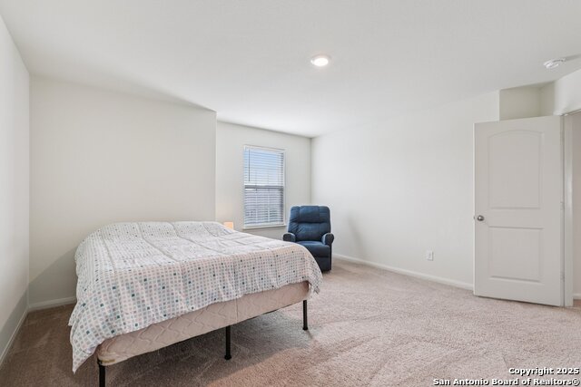 Image 16 of 22 For 3946 Turtle