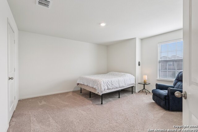 Image 17 of 22 For 3946 Turtle