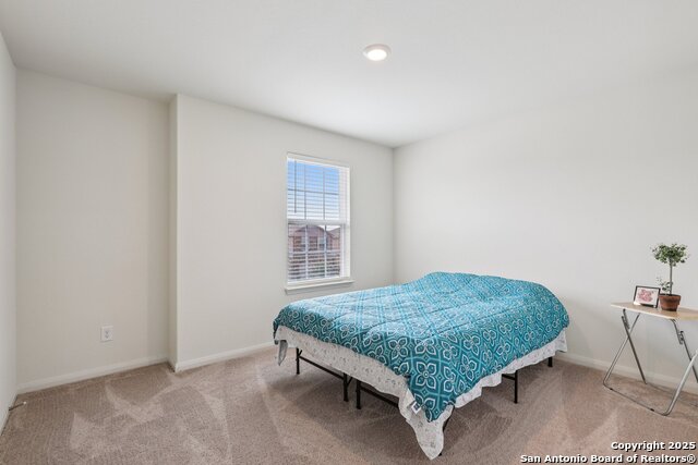 Image 18 of 22 For 3946 Turtle