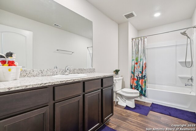 Image 19 of 22 For 3946 Turtle