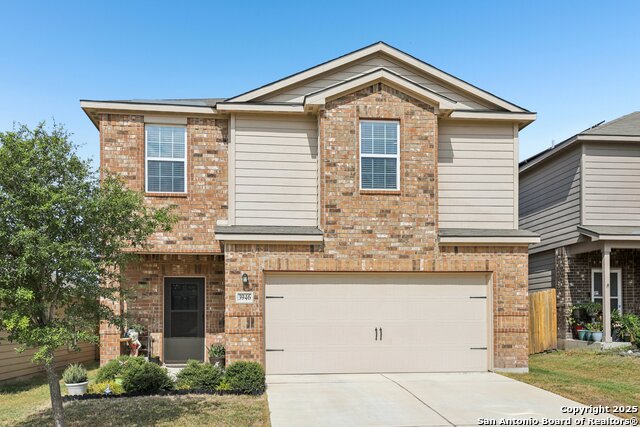 Image 2 of 22 For 3946 Turtle